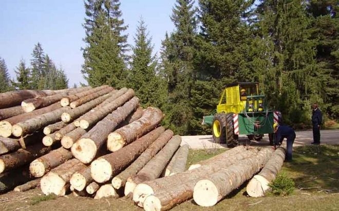 VLADA DALA SAGLASNOST NA KOLEKTIVNI UGOVOR O PRAVIMA I OBAVEZAMA POSLODAVACA I RADNIKA U OBLASTI ŠUMARSTVA U FEDERACIJI BOSNE I HERCEGOVINE