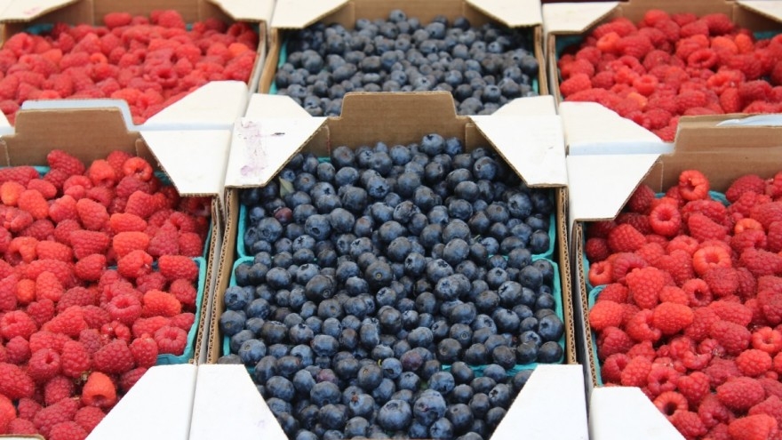 ODOBRENI POTICAJI POLJOPRIVREDNIM PROIZVOĐAČIMA I OTKUPLJIVAČIMA NA PODRUČJU ZDK