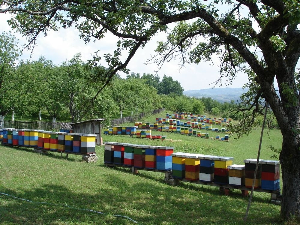 VLADA ODOBRILA SREDSTVA ZA POTICANJE POLJOPRIVREDNE PROIZVODNJE