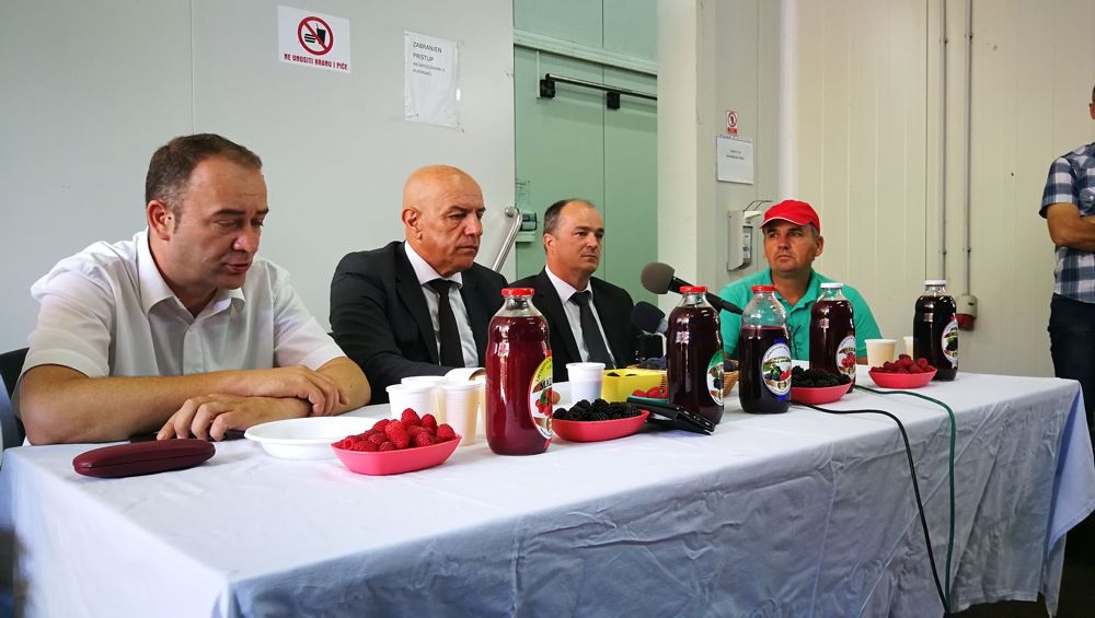 VLADA ZDK ZA ČETIRI GODINE U MALINARSTVO ULOŽILA 3,2 MILIONA KM: OVE GODINE PROIZVOĐAČIMA PREMIJA OD 25 FENINGA PO KILOGRAMU MALINE